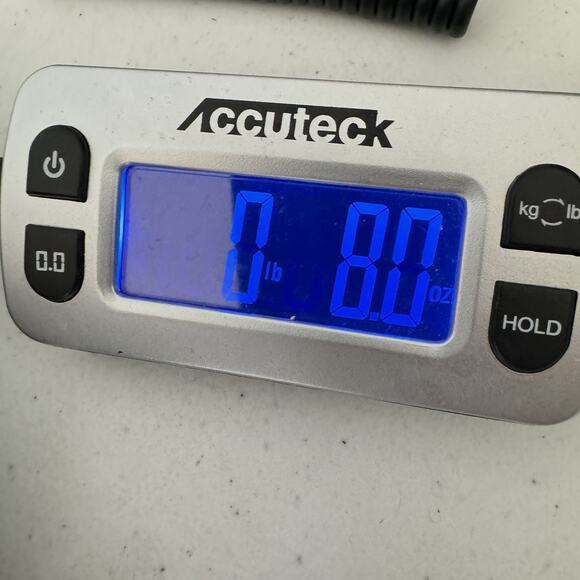 Carve Designs Oahu Shorts in White Corduroy Size 8 Raw Hem 3.5" Inseam - Picture 10 of 10